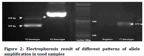 Medical-Dental-Science-allele