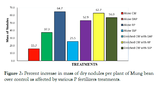 agricultural-science-food-research-dry-nodules