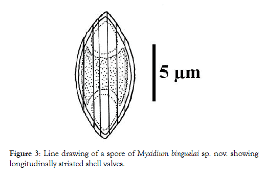 fisheries-and-aquaculture-journal-binguelai