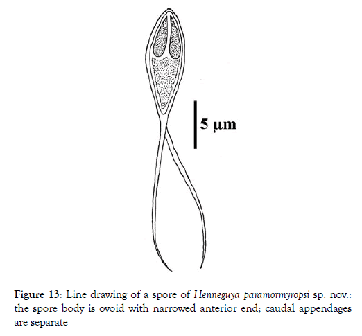 fisheries-and-aquaculture-journal-drawing