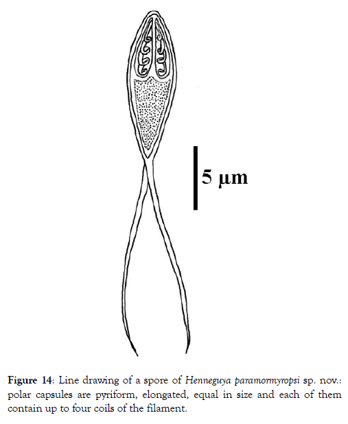 fisheries-and-aquaculture-journal-filament