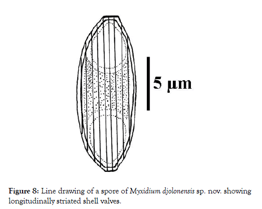 fisheries-and-aquaculture-journal-shell