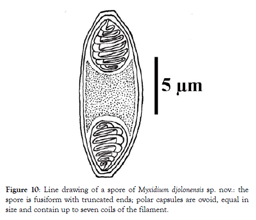 fisheries-and-aquaculture-journal-spore