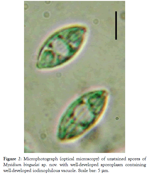 fisheries-and-aquaculture-journal-spores