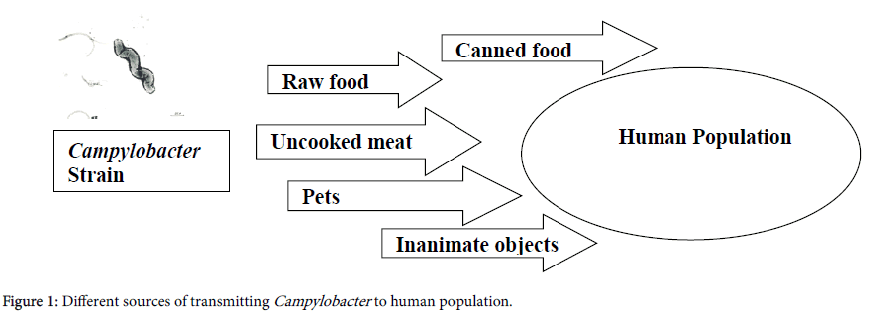 foodmicrobiology-safety-hygiene-human-population