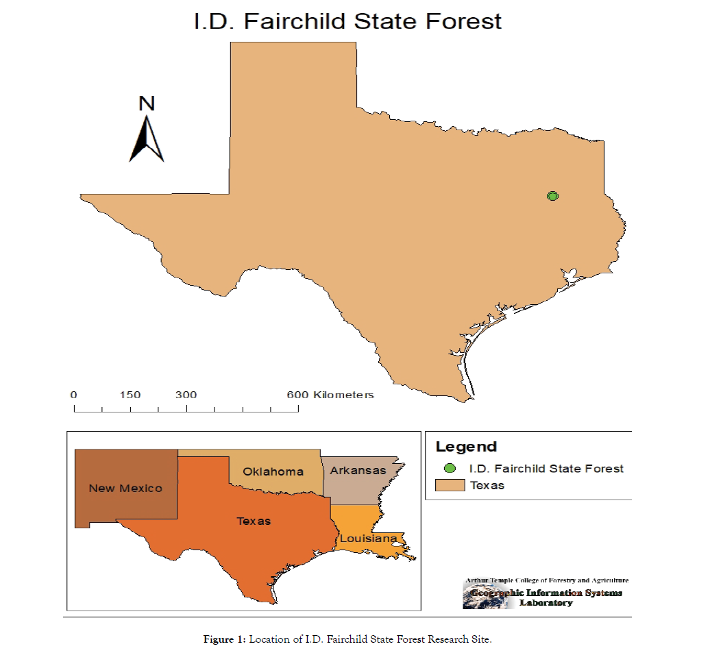 forest-research-fairchild-state