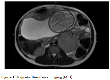 gynecology-obstetrics-Magnetic