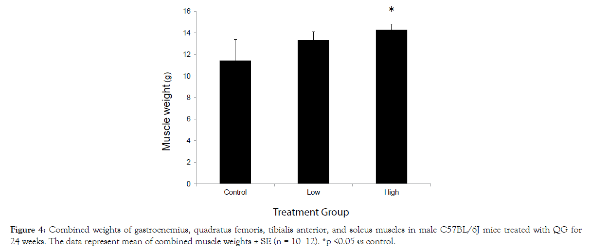 nutrition-food-sciences-gastrocnemius