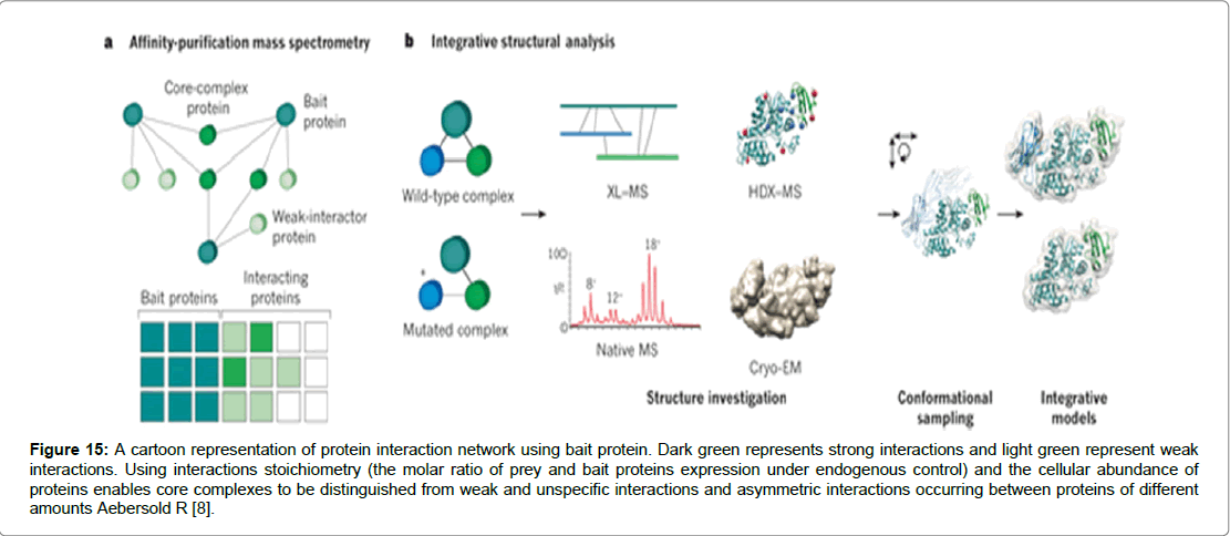 proteomics-bioinformatics-bait-protein