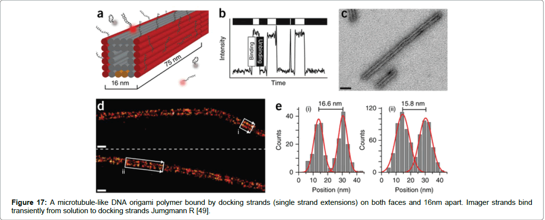 proteomics-bioinformatics-origami-polymer