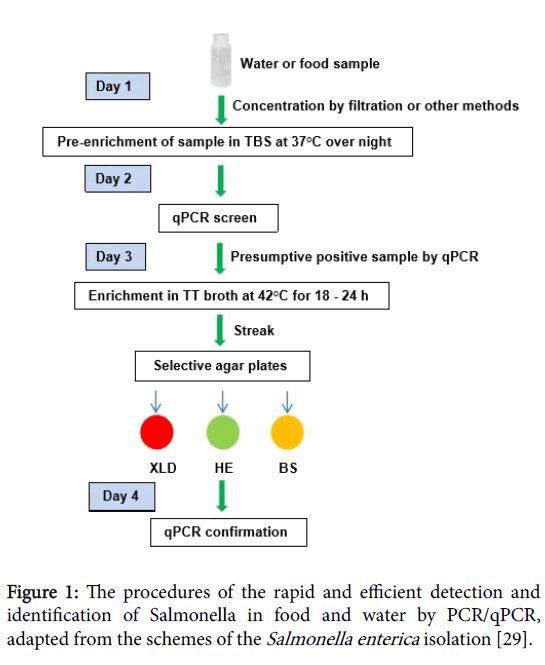 Recent And The Latest Developments In Rapid And Efficient Detecti