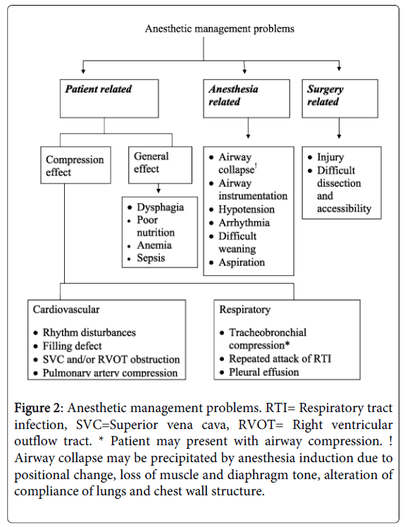 clinical-experimental-cardiology-outflow-tract