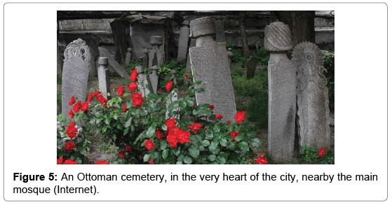 defense-management-Ottoman-cemetery