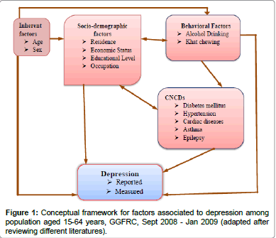 conceptual framework in research about depression