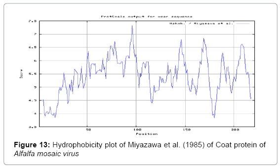 Information of Surface Accessibility of the Peptide Fragments of