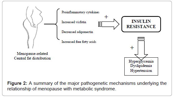 Endocrinology Metabolic Syndrome Major Pathogenetic 7774