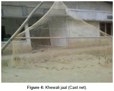 The Fish Catching Devices with their Efficacy and Cost-benefit An