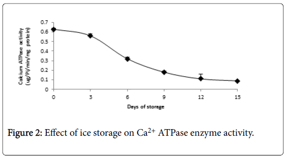 fisheries-and-aquatic-ice-storage