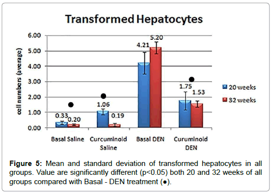 journal-cancer-science-and-research-transformed-hepatocytes