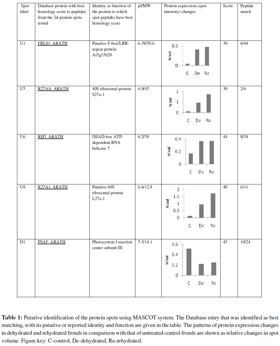 Table