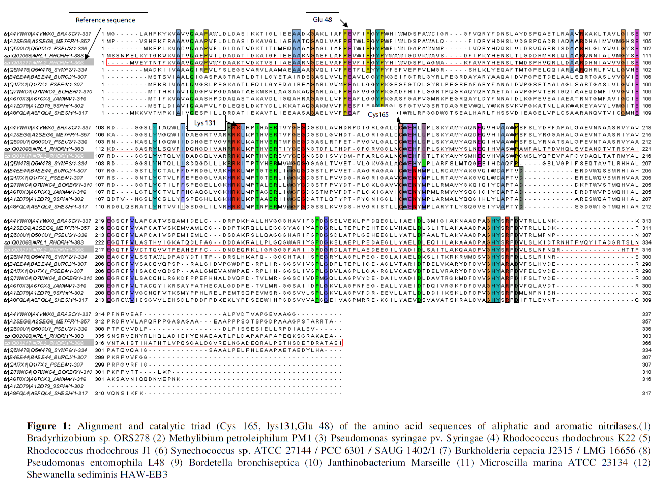 proteomics-bioinformatics-alignment-catalytic