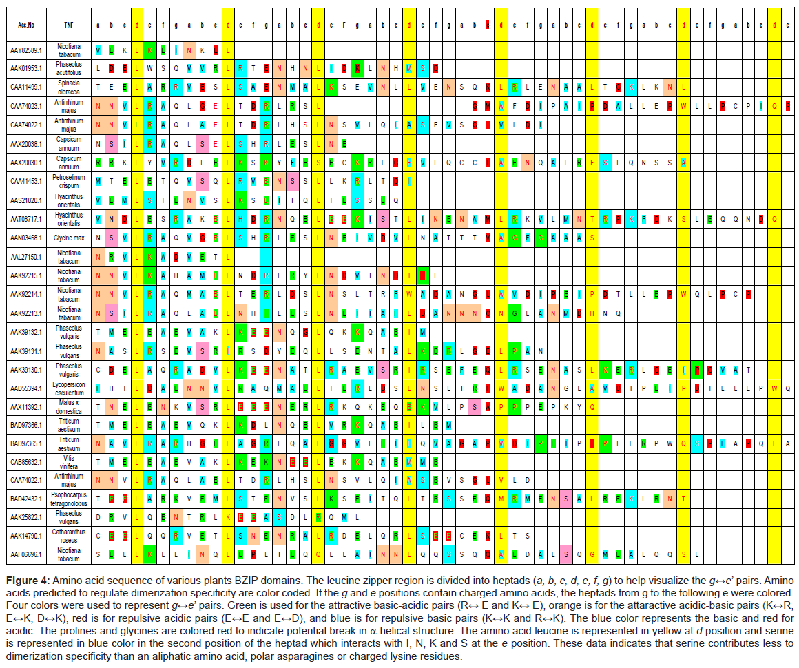 proteomics-bioinformatics-amino-leucine-zipper