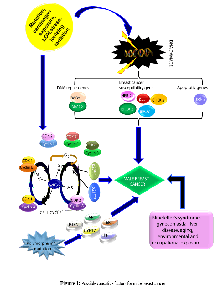 proteomics-bioinformatics-breastcancer