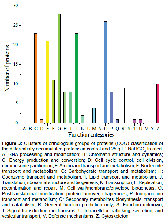 proteomics-bioinformatics-clusters-orthologous-proteins