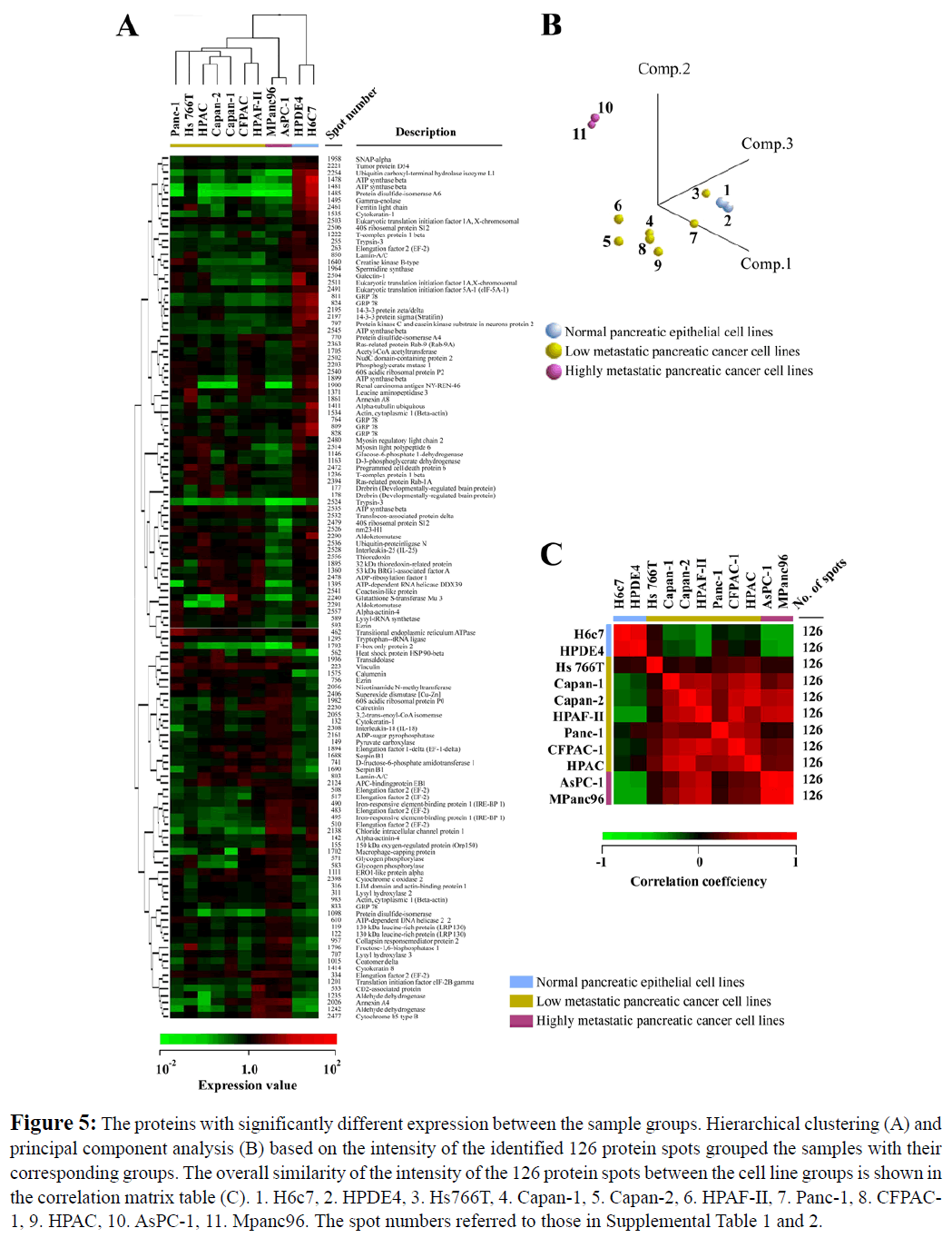 proteomics-bioinformatics-proteins-hierarchical