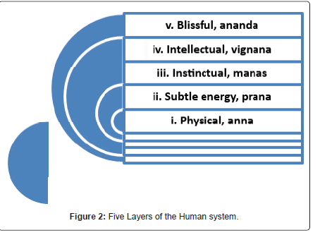 community-public-health-Human-system